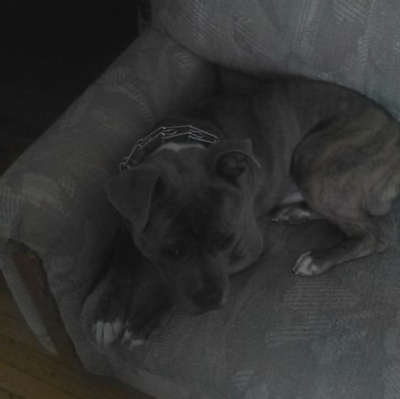 Meet The Posher - Picture 7 of 16